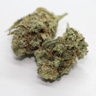 Gorilla Glue #4 - Potent hybrid strain that delivers heavy-handed euphoria and relaxation. The resin on our Gorilla Glue flower is absolutely amazing, one of the greasiest strains we’ve ever grown. Its chunky, resin-covered buds fill the room with pungent, earthy, and sour aromas, Full of flavor, highly prized to soothe physical and mental duress.