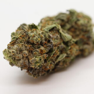 Sugar Cookie - An indica-dominant hybrid with an aromatic sweetness that is likely to have influenced this strain’s name. You might think this hybrid belongs in the same family as the famed Girl Scout Cookies, but its genetics say otherwise. Sugar Cookie is a three-way cross between Crystal Gayle, Blue Hawaiian, and Sensi Star, together passing on the resinous qualities of a Northern Lights ancestor along with tropical fruit and berry flavors. Your new favorite midnight snack may just be Sugar Cookie, as it delivers a deep, full-body calm before lulling you into deep sleep.